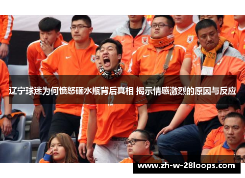 辽宁球迷为何愤怒砸水瓶背后真相 揭示情感激烈的原因与反应